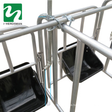 High quality poultry farm cage pig gestation pen Pig positioning column